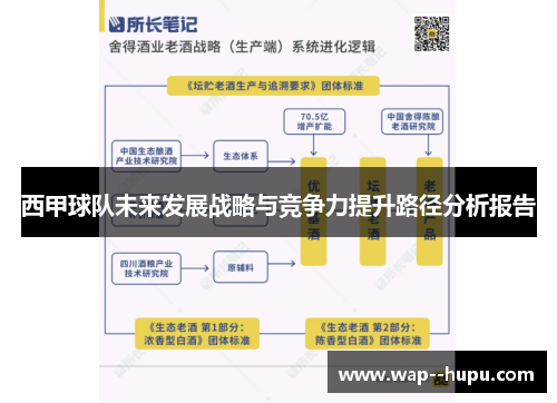 西甲球队未来发展战略与竞争力提升路径分析报告
