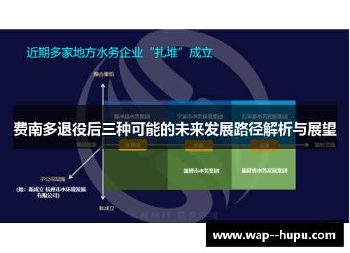 费南多退役后三种可能的未来发展路径解析与展望 费南多退役后三种可能的未来发展路径解析与展望