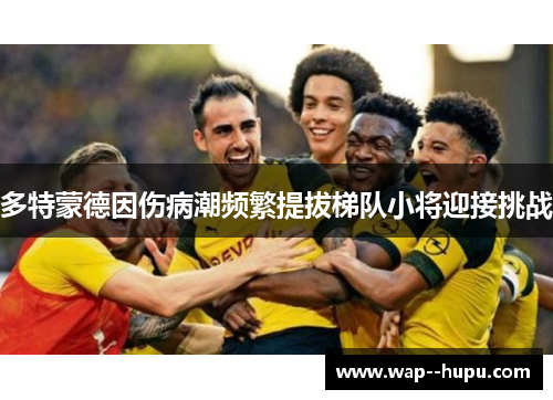 多特蒙德因伤病潮频繁提拔梯队小将迎接挑战 多特蒙德因伤病潮频繁提拔梯队小将迎接挑战